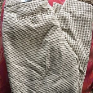 The Limited Pencil Pants